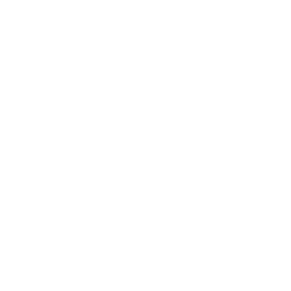iDigitalWave